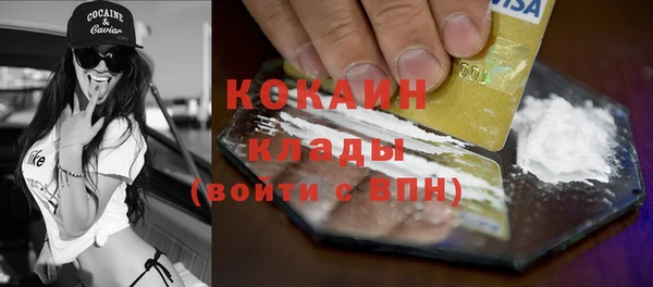 ешки Аркадак