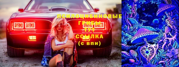 хмурый Алзамай