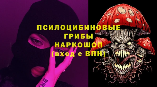 хмурый Алзамай