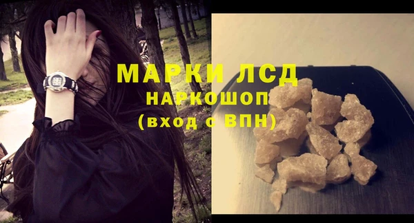 хмурый Алзамай