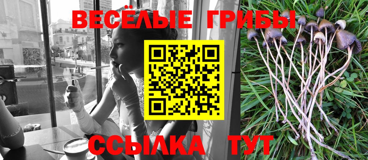Галлюциногенные грибы GOLDEN TEACHER  продажа наркотиков  Вход с VPN  Полысаево  Псилоцибиновые грибы Cubensis 