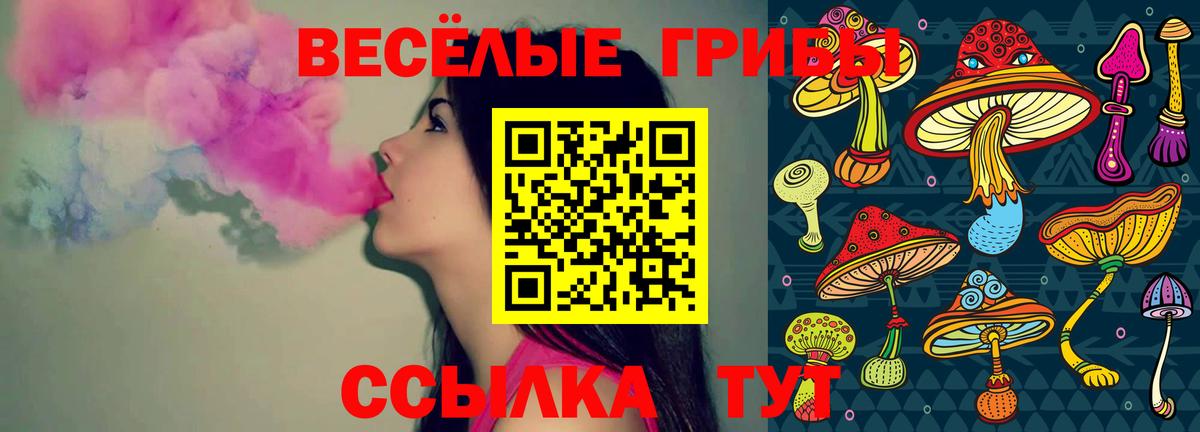 Галлюциногенные грибы Psilocybe Полысаево